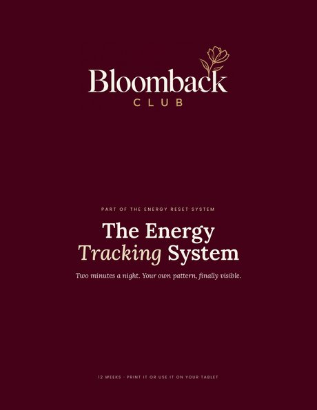 The Energy Tracking System cover